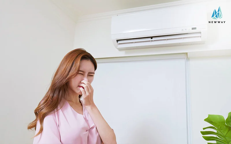 Foul smelling mould and bacteria in aircon causing woman discomfort