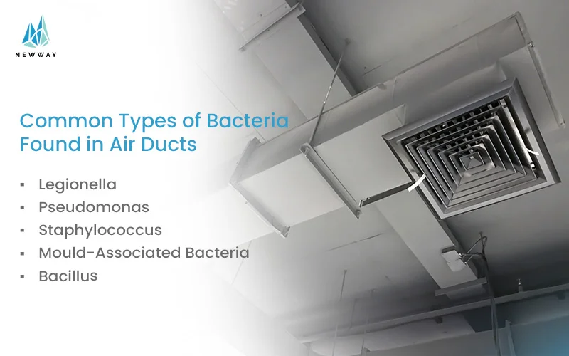 Lists of harmful bacteria in air ducts, highlighting the need for regular cleaning