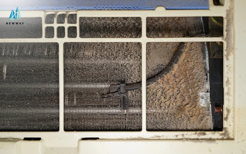 A mould in the air conditioner